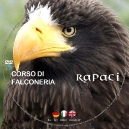 DVD Falconeria